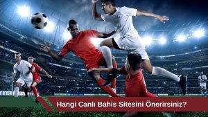 Hangi Canlı Bahis Sitesini Önerirsiniz